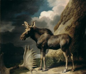 Alce, 1770 de George Stubbs