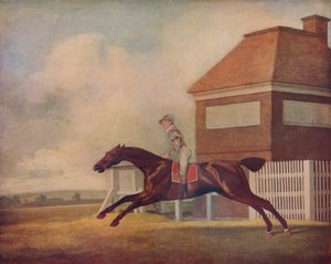 El caballo de carreras Trentham de Mr. Ogilvy en Newmarket con jockey, 1771 de George Stubbs