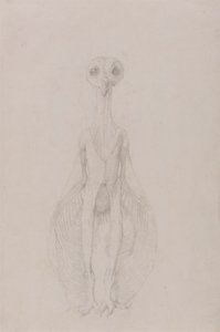 Búho de pie, vista anterior de George Stubbs