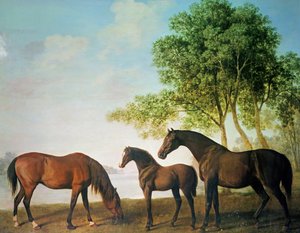 Shafto Yeguas y un Potro de George Stubbs