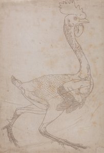 Estudio de un ave, vista lateral, de Una exposición anatómica comparativa de la estructura del cuerpo humano con la de un tigre y un ave común, 1795-1806 de George Stubbs
