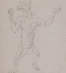 Estudio de un Tigre, De Pie en Postura Humana, de Una Exposición Anatómica Comparativa de la Estructura del Cuerpo Humano con la de un Tigre y un Ave Común, 1795-1806 de George Stubbs