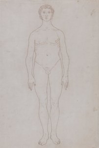 Estudio de la figura humana, vista anterior (Esquema de la tabla VI) de George Stubbs