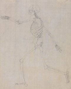 Estudio de la figura humana, vista lateral, estudio terminado para la tabla III, de Una exposición anatómica comparativa de la estructura del cuerpo humano con la de un tigre y un ave común, 1795-1806 de George Stubbs