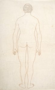 Estudio de la figura humana, vista posterior, de Una exposición anatómica comparativa de la estructura del cuerpo humano con la de un tigre y una gallina común, c.1795-1806 de George Stubbs