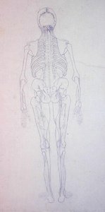 Estudio de la figura humana, vista posterior, de Una exposición anatómica comparativa de la estructura del cuerpo humano con la de un tigre y una gallina común, c.1795-1806 de George Stubbs