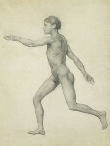 La Figura Humana Completa desde la Izquierda, vista lateral, de la serie 