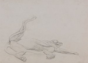 Cuerpo de tigre, reclinado, visto ventralmente de George Stubbs
