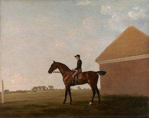 Turf, con Jockey arriba, en Newmarket de George Stubbs