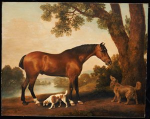 Imagen desconocida de George Stubbs