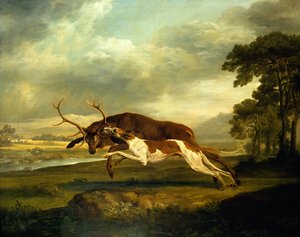 Imagen desconocida de George Stubbs