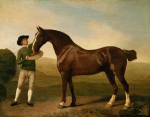 Imagen desconocida de George Stubbs