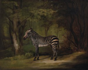 Cebra de George Stubbs