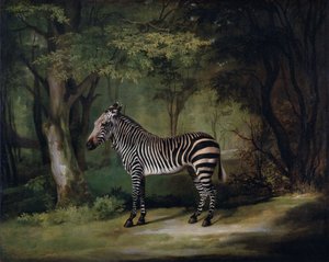 Cebra de George Stubbs