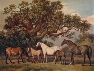 Yeguas y potros, finales del siglo XVIII, 1922 de George Townley Stubbs