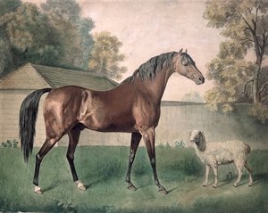 Dungannon de George Townley Stubbs