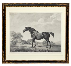 Escaramujo de George Townley Stubbs