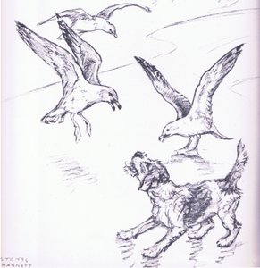 Rosie ahuyentando a las gaviotas, de Mudlarks publicado por Collins de George Vernon Stokes