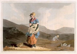 La Chica del Arándano, grabado por Robert Havell el Viejo, publicado en 1814 por Robinson y Son, Leeds de George Walker