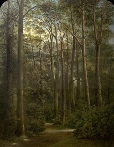 El desierto, 1857