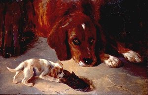 Un cachorro inquisitivo