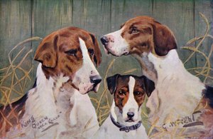 Rey, reina y knave de George Wright