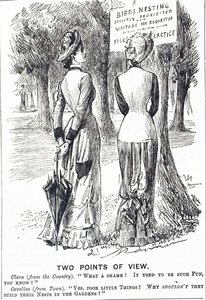 Caricatura comentando sobre la Ley de Protección de Aves de 1880