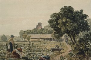 Huerto en Chelsea de George the Younger Barret