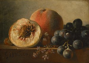  de Georgius Jacobus Johannes van Os