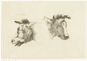 Dos cabezas de vacas