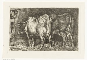 Dos vacas en un pesebre de Gerard Jan Bos