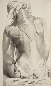 Anatomia Humani Corporis por Govard Bidloo, 1685