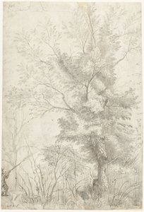 Bosque de Villa Madama en las afueras de Roma, con un cazador de tiro de Gerard ter Borch