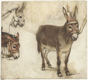 Hoja de estudio con caballetes de Gerard ter Borch (I)