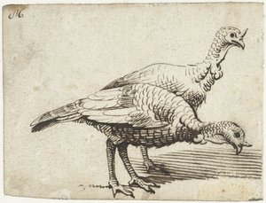 dos pavos de Gerard ter Borch (I)