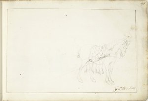 Caballo, a la derecha de Gerard ter Borch (II) (signed by artist)