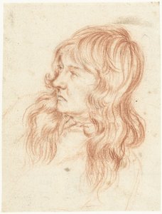 Cabeza de un joven, a la izquierda de Gerard ter Borch (II)