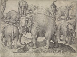 ocho elefantes de Gerard van Groeningen