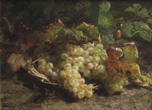 Uvas blancas en una cesta de mimbre