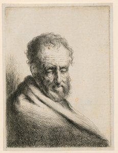 Anciano con barba de Gerbrand van den Eeckhout