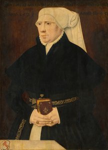 Retrato de una dama de German 16th Century