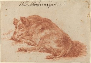 Jabalí de German 18th Century