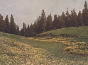 Pradera en el Feldberg, Selva Negra, Alemania (foto en color) de German Photographer