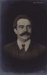 Retrato de Johannes Wolff (foto en blanco y negro) de German Photographer