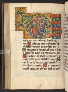 Agregar. 60629, f.43v Grandes iniciales enmarcadas en oro y colores con adornos foliados y, a veces, zoomorfos y antropomorfos (vitela) de German School