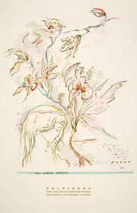 Anuncio "Orchideen aus dem Hause Hermann Roth" de Styl, pub.1922 (impresión en pochoir)