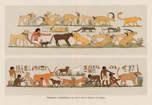Antiguas pinturas egipcias de animales (litografía en color)