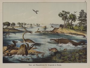 Animales y Plantas del Período Jurásico en Europa de German School