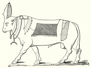 Apis, toro sagrado del Antiguo Egipto de German School