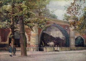 Recinto de osos, Jardín Zoológico de Berlín, Alemania (litografia en color)